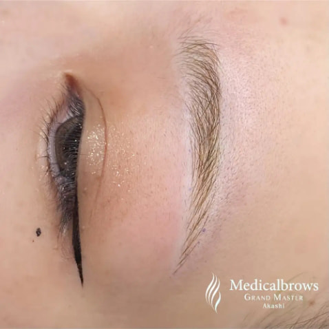 眉 7Dストローク CASE3