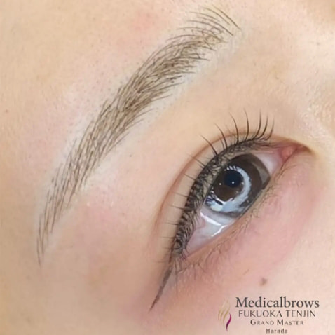 眉 7Dストローク CASE4