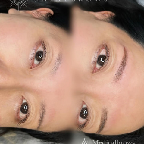 眉 7Dストローク CASE5