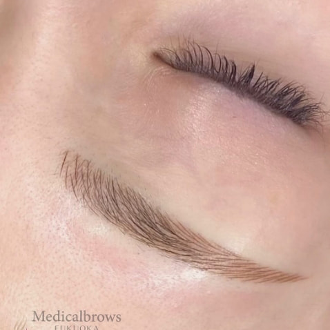 眉 7Dストローク CASE8