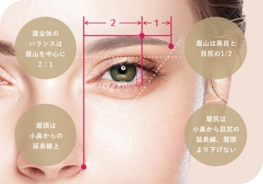「眉全体のバランスは眉山を中心に2：1」、「眉山は黒目と目尻の1/2」、「眉頭は小鼻からの延長線上」、「眉尻は小鼻から目尻の延長線、眉頭より下げない」